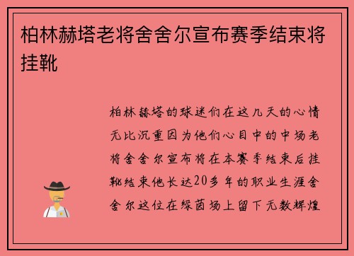 柏林赫塔老将舍舍尔宣布赛季结束将挂靴